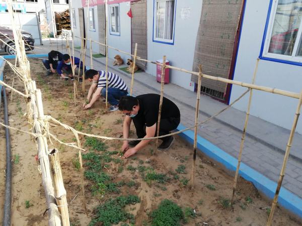 陜煤建設(shè)韓城分公司土建十項(xiàng)目部弘揚(yáng)“五四”精神播種希望之田