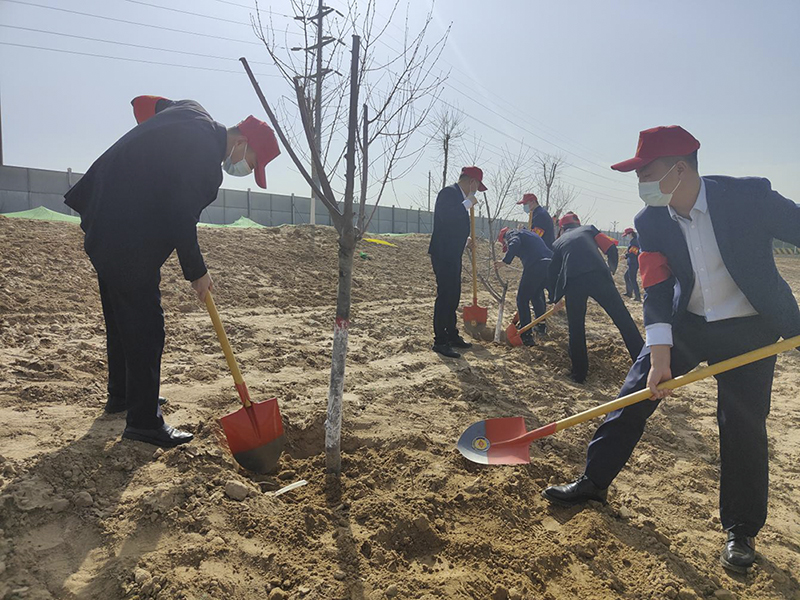 陜煤建設(shè)榆林公司開展義務(wù)植樹活動