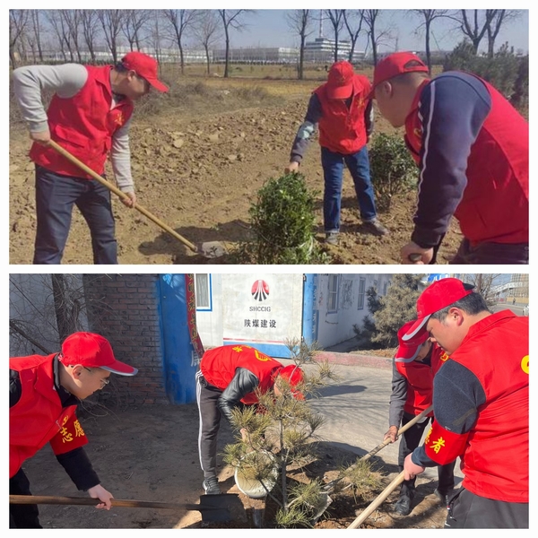 陜煤建設澄合分公司發(fā)揮黨建動力為項目工地添綠意