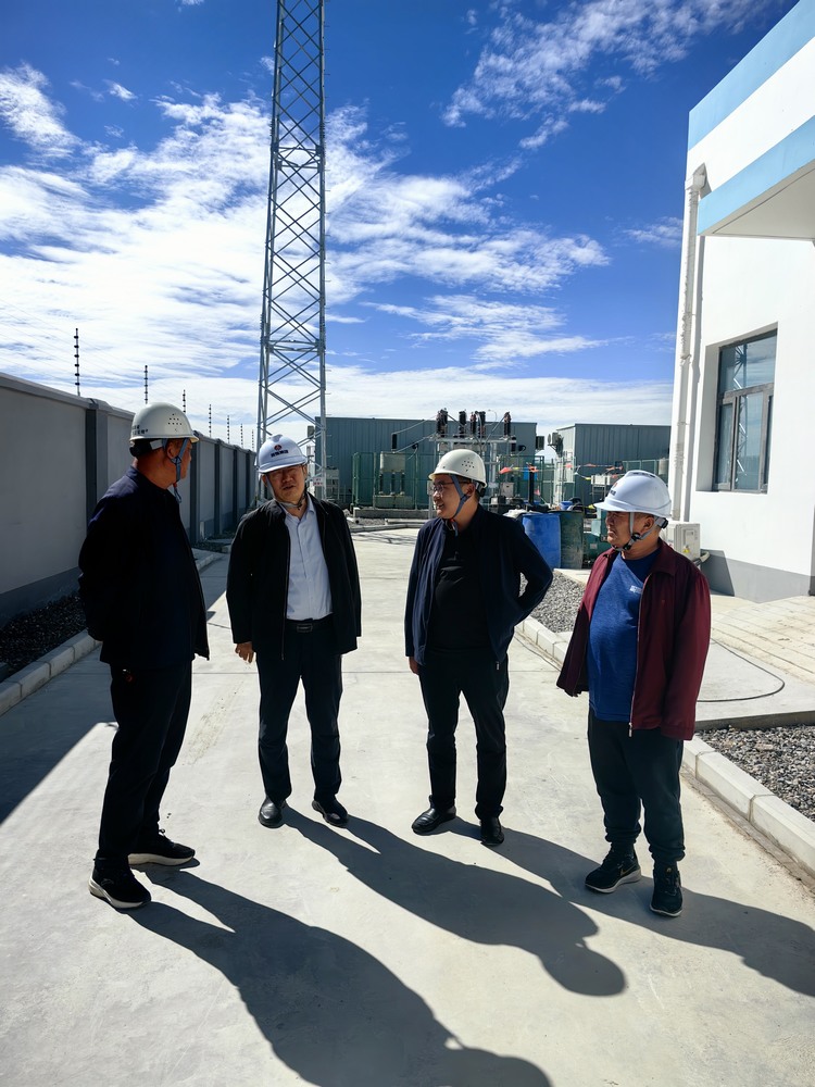 劉保江一行深入天工公司青海西臺秦川光伏電站檢查指導工作