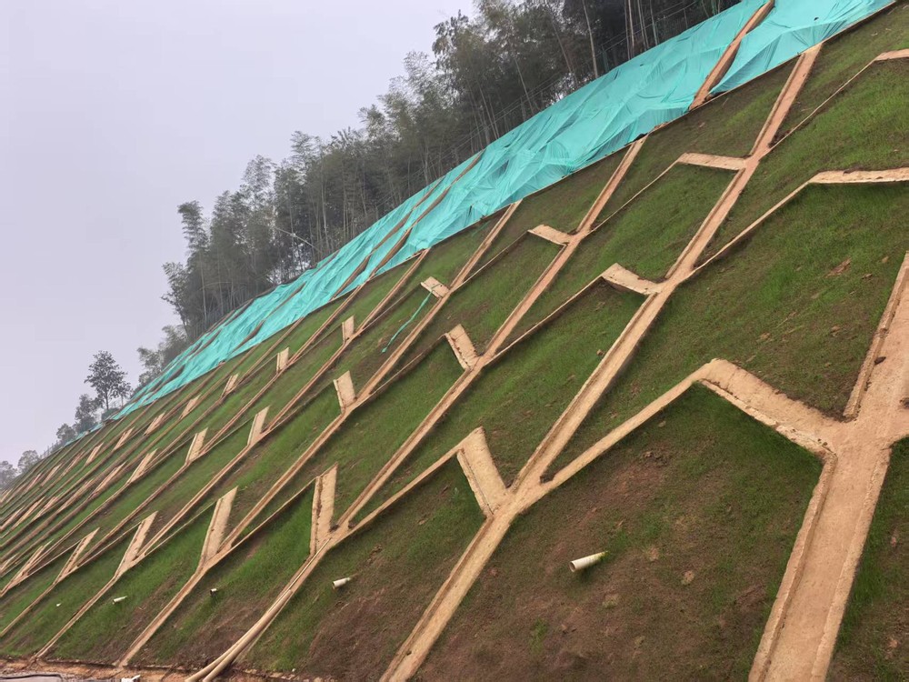 陜煤建設(shè)西北分公司：邊坡披綠衣，防護(hù)顯匠心